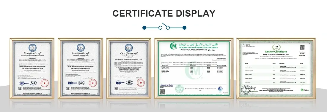 Certification Certificate Certification Certificate