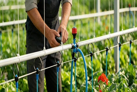 Water-soluble fertilizer drip irrigation Water-soluble fertilizer drip irrigation