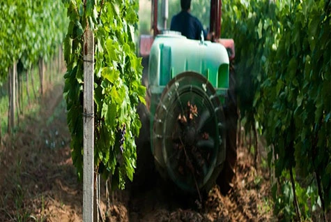 Orchard fertilization Orchard fertilization